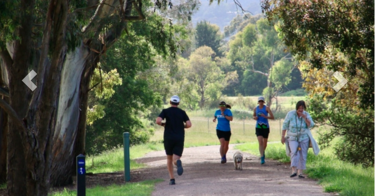 Walks in Maroondah photo Victoria Walks, Dorset Reserve Croydon